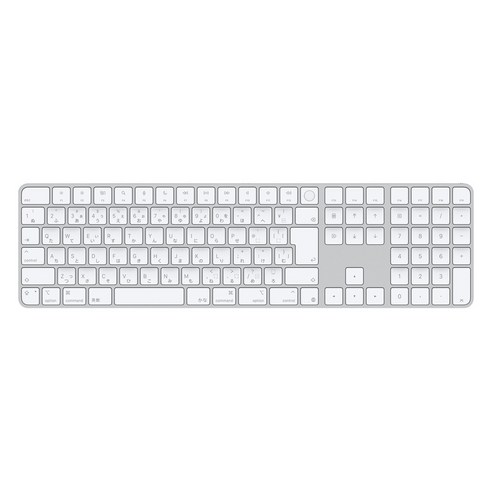 Apple 2024 Touch ID 숫자 키패드 Magic Keyboard, 화이트, MXK73CJ/A