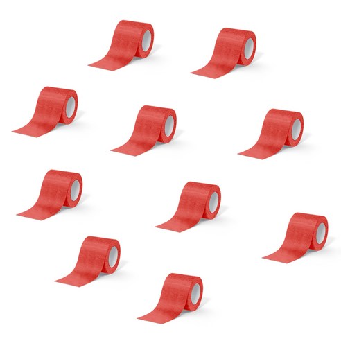 데이바이데이 바른생활이야기 밴드 5cm x 4.5m 레드, 1개, 10개입