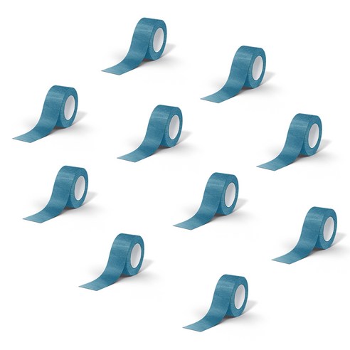 데이바이데이 바른생활이야기 밴드 2.5cm x 4.5m 블루, 1개, 10개입