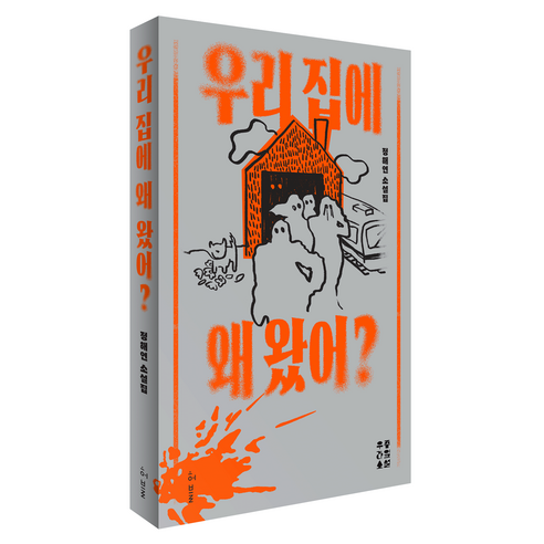 우리 집에 왜 왔어?:정해연 소설집, 정해연, 허블