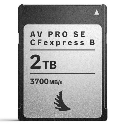 엔젤버드 AV PRO SE CFexpress 4.0 Type B 메모리카드, 1개, 2TB