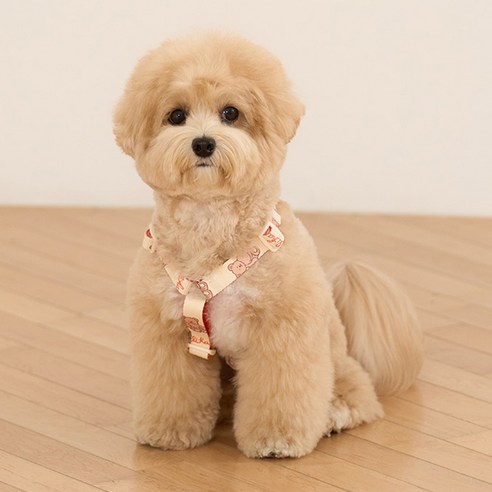 리카리카 강아지 하네스 커들리 토이 H자형 하네스, 1개, 베어