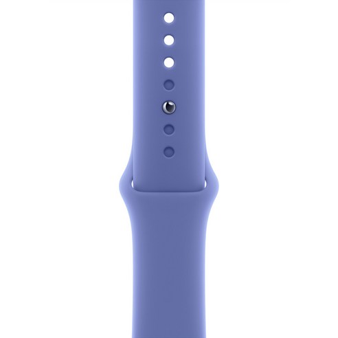 Apple 정품 애플워치 스포츠 밴드 M/L, 페리윙클, 1개, 46mm