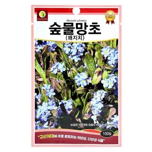 다농 숲물망초 왜지치 씨앗 100p, 1개