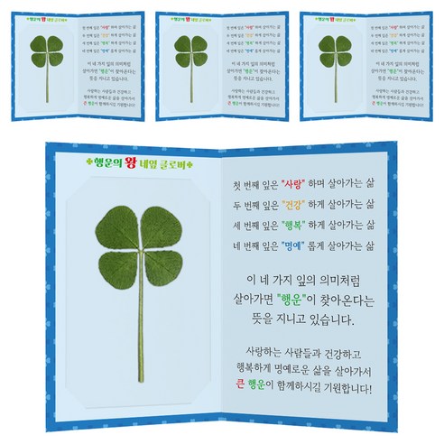 럭키심볼 행운의 왕네잎클로버생화 코팅카드 4p + 메세지 폴더카드 4p 세트, 혼합색상, 8세트