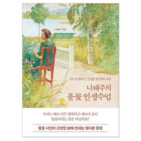 나태주의 풀꽃 인생수업:시가 인생이고 인생은 한 편의 시다, 나태주, 니들북