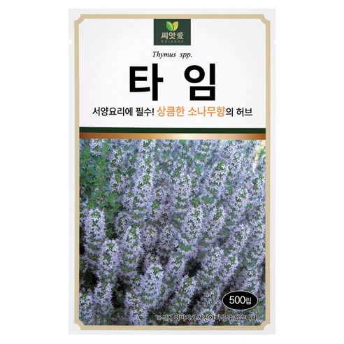 다농 씨앗애 타임 씨앗 500p, 1개