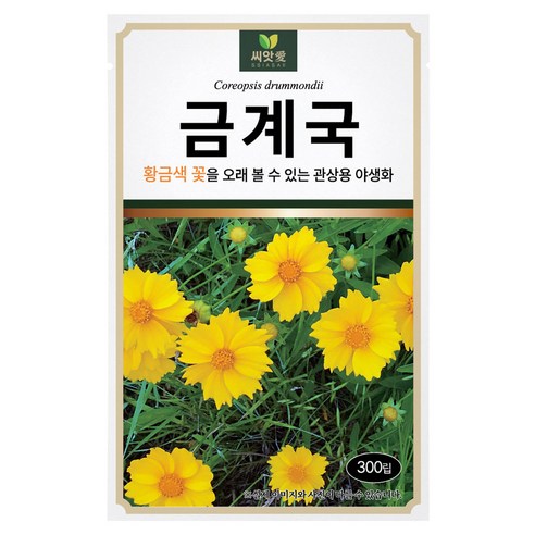 다농 씨앗애 금계국 씨앗 300p, 1개