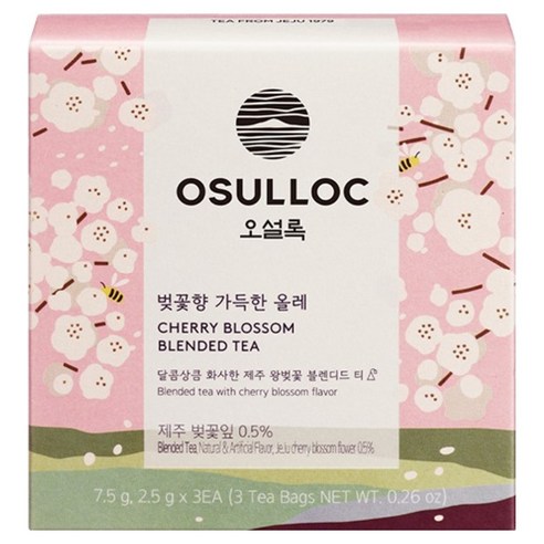 오설록 벚꽃향 가득한 올레