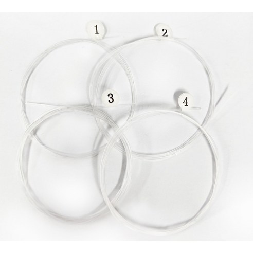 마음을 울리는 선율, 케나즈 우쿨렐레 스트링과 함께