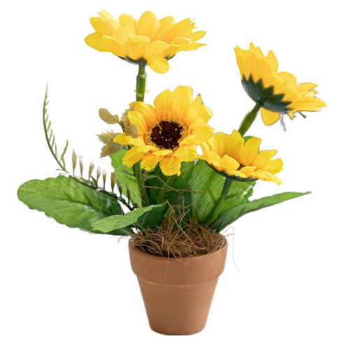 플라워트리 네송이 해바라기 화분 세트 16cm, 베이직토분 type, 1개
