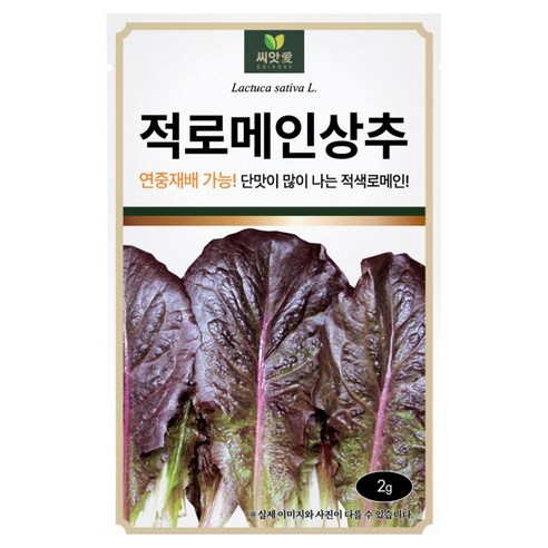 다농 씨앗애 적로메인상추 씨앗 2g, 1개