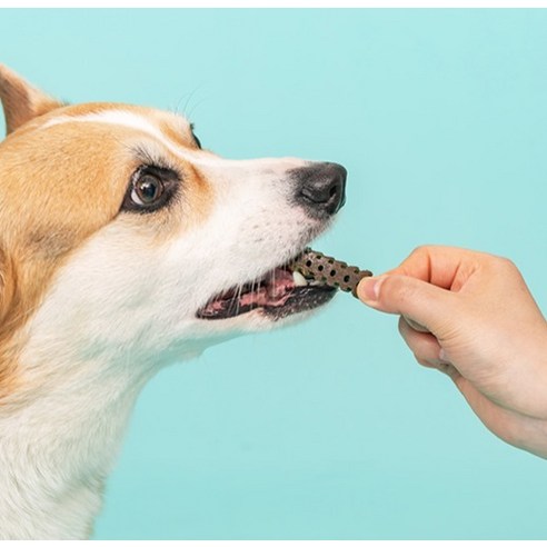 건강한 치아는 행복한 삶의 시작, 덴티멀 더블액션 츄로 댕댕이의 건강한 미소를 지켜주세요!