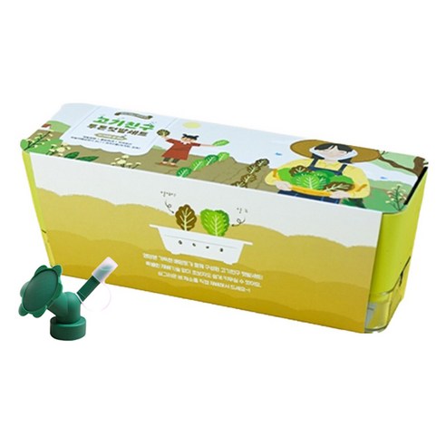 삭막한 도시, 내 손으로 만드는 작은 힐링 정원! 투톤 텃밭 키트 후기 상추키우기