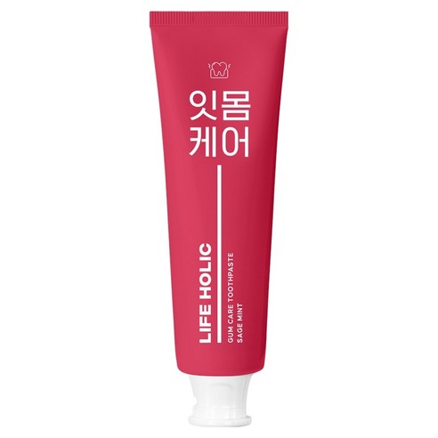 라이프홀릭 잇몸케어 치약 세이지민트향, 100g, 1개