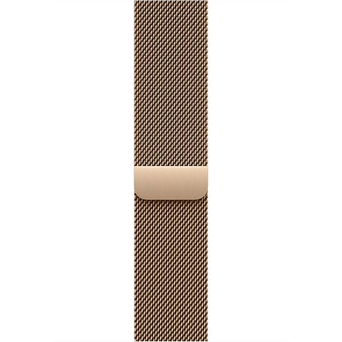 Apple 정품 2025 애플워치 밀레니즈 루프, 골드, 1개