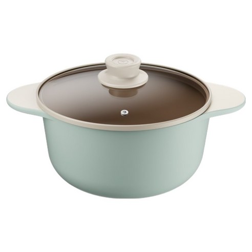 테팔 세라믹 인덕션 주물 아이콘 곰솥 양수냄비, 유칼립투스, 1개, 24cm