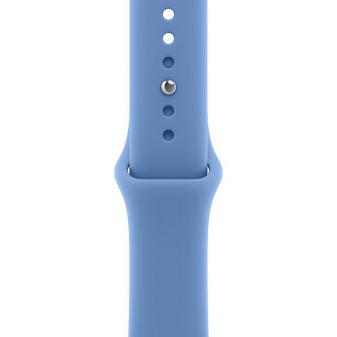 Apple 정품 애플워치 스포츠 밴드, 와일드플라워 블루, 42mm, M/L, 1개
