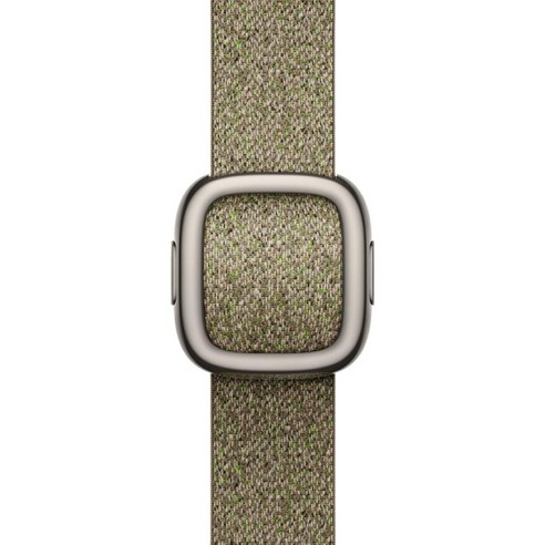 Apple 정품 애플워치 모던 버클, 세이지, 42mm, Medium, 1개