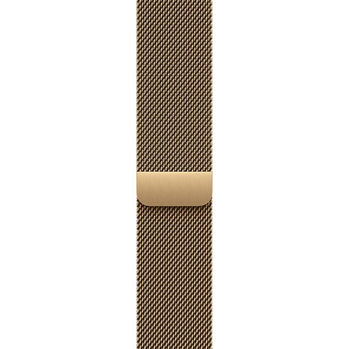 Apple 정품 애플워치 밀레니즈 루프, 래디언트 골드, 46mm, M/L, 1개