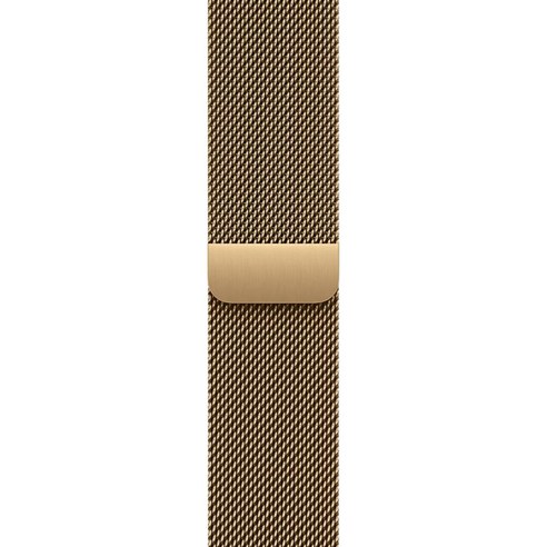 Apple 정품 애플워치 밀레니즈 루프, 래디언트 골드, 42mm, Regular, 1개