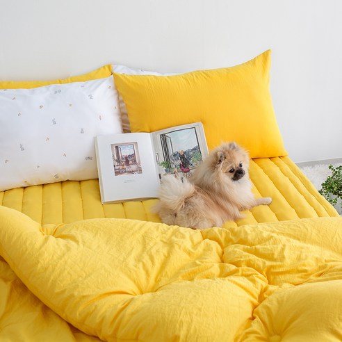 그래이불 말랑푸딩 침구 세트: 편안함과 스타일이 만나는 곳