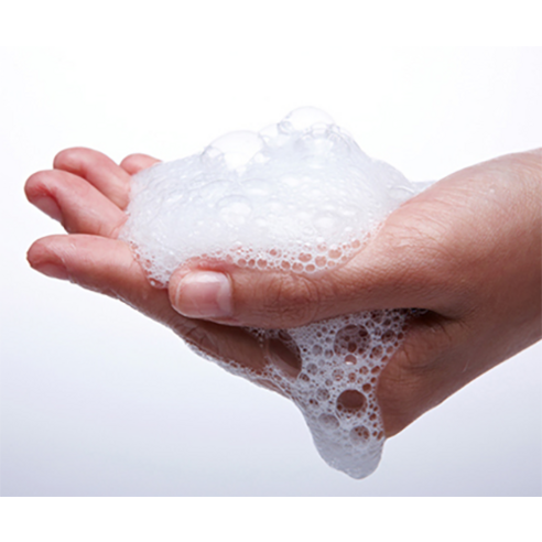 봄날의 벚꽃 향기를 머리결에, 오가니스트 체리블라썸 샴푸로 촉촉하고 생기 넘치는 데일리 케어!