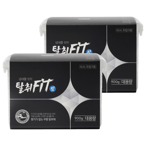 애경 탈취핏 차량용 탈취제 본품, 900g, 2개