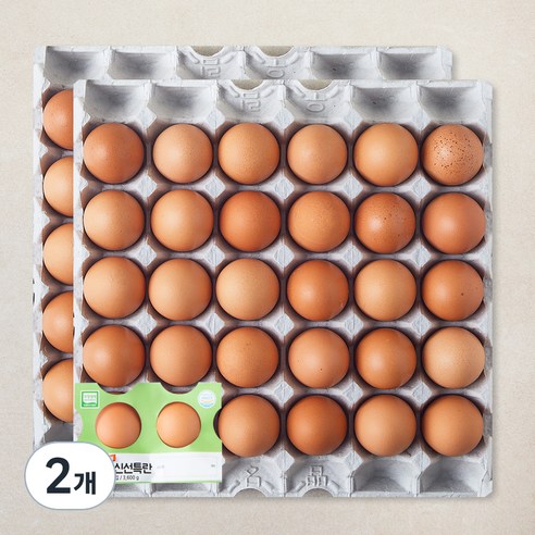 농협 무항생제 인증 신선 특란 3600g, 2개, 60구