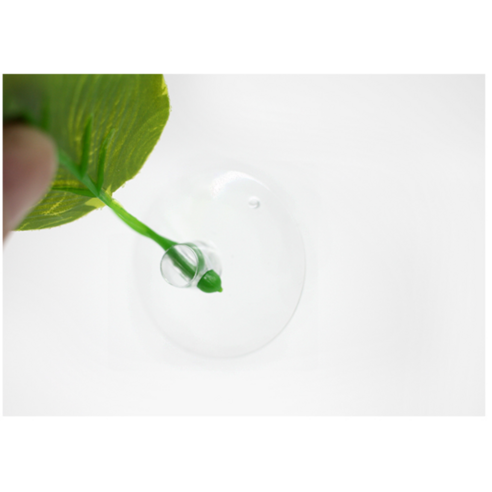 우리집 베타, 스트레스 없이 꿀잠 자는 비법! 숨숨집 하나로 평화로운 어항 만들기