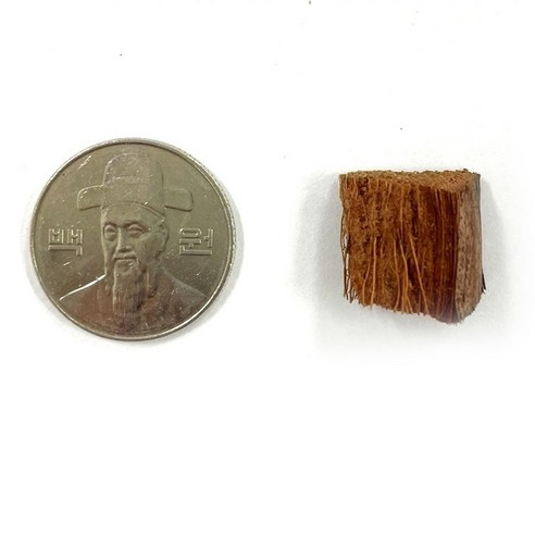 열대 우림의 촉촉함을 그대로, 아쿠아플러스 프리미엄 코코칩 바닥재