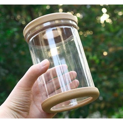 투명한 화분에 담긴 싱그러운 초록, 클레어라 수경재배 화분으로 시작하는 나만의 작은 정원