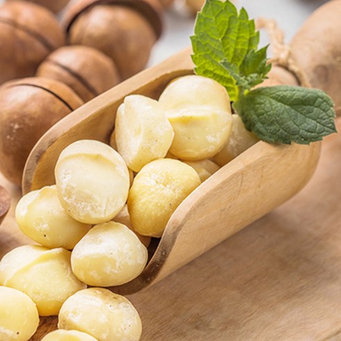 고소한 행복, 투데이넛 마카다미아로 채우는 일상의 풍요