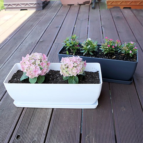 당신의 공간에 싱그러움을 더하는 플라팜 직사각 화분 세트