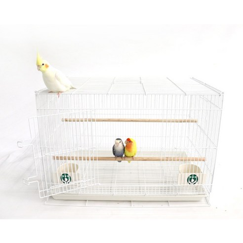 사랑스러운 앵무새를 위한 안전하고 아름다운 보금자리