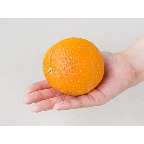 못생겨도 맛있는 오렌지: 저렴하면서도 맛있는 과일의 매력