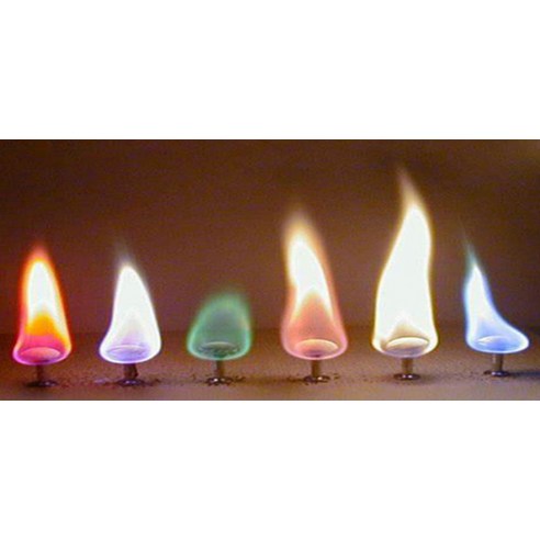 과학의 매력을 함께 발견하다