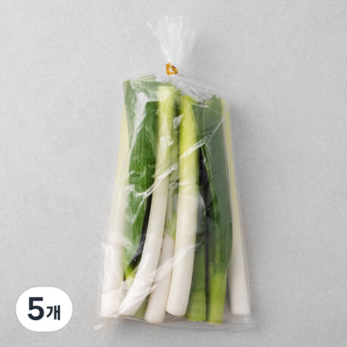 국내산 절단 대파, 300g, 5개