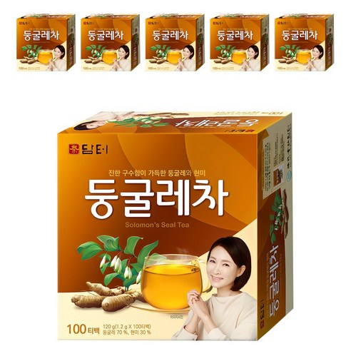 담터 둥굴레차, 1.2g, 100개입, 5개