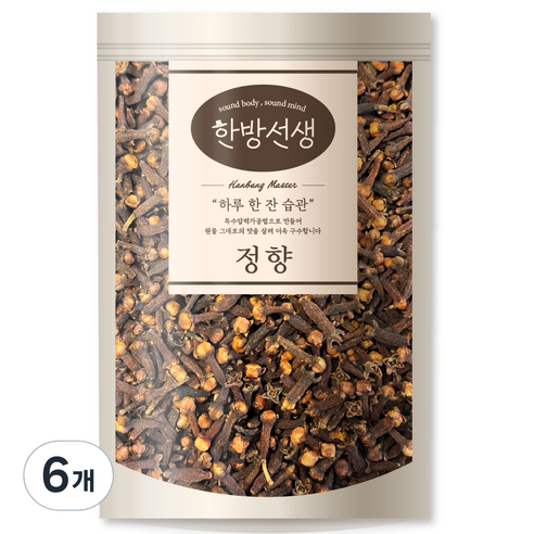 한방선생 정향 클로브, 100g, 6개