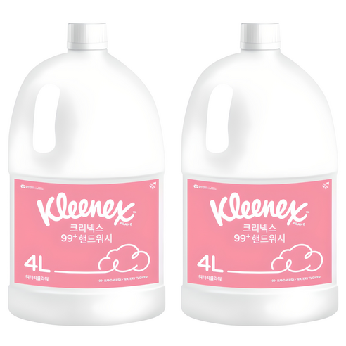 크리넥스 99+ 거품형 핸드워시 워터리플라워향, 4L, 2개