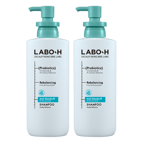 라보에이치 댄드 러프 클리닉 비듬 두피 각질 케어 약산성 기능성샴푸, 400ml, 2개