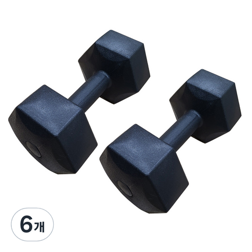 대한스포츠 육각아령 2p, 5kg, 6개