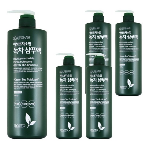모에타 어성초 자소엽 녹차 샴푸액 지성 두피용, 1kg, 5개