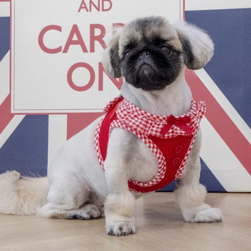 퍼피아 강아지 비비안 체크자켓 하네스 B AH860, 레드, 1개