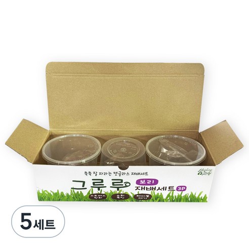 힐링타임 그루루 캣그라스 재배세트 3p, 보리, 5세트
