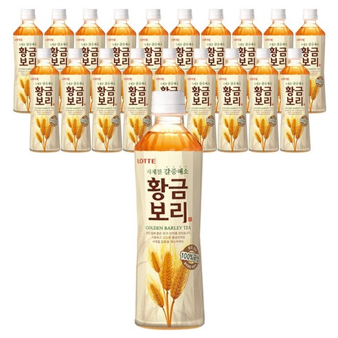 롯데 오늘의차 황금보리, 500ml, 20개