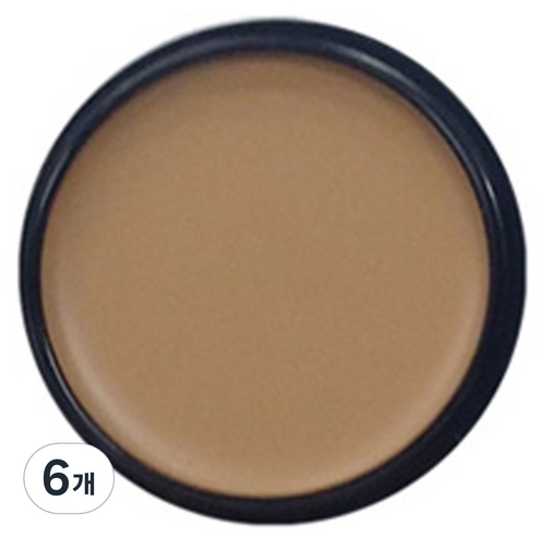 애리조 카마플레이지 크림 13g, No2 크림베이지, 6개