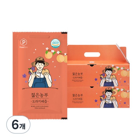 푸릇담 젊은농부 도라지배즙 30p, 3L, 6개