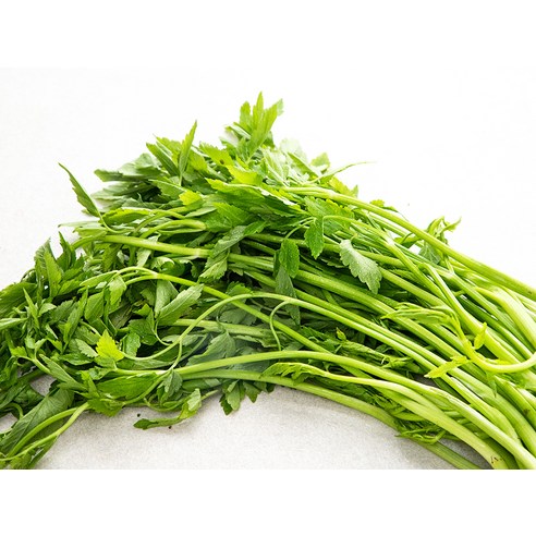 향긋한 돌미나리로 식탁에 봄을 더하고 건강까지 챙기세요!